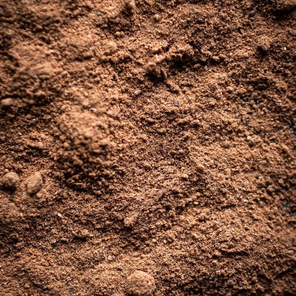 Detailaufnahme Muskatnuss, gemahlen