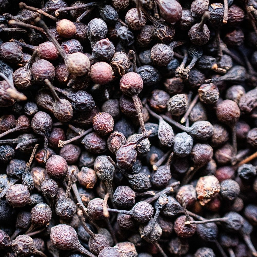 Detailaufnahme Voatsiperifery Urwaldpfeffer Madagaskar (Wildsammlung)