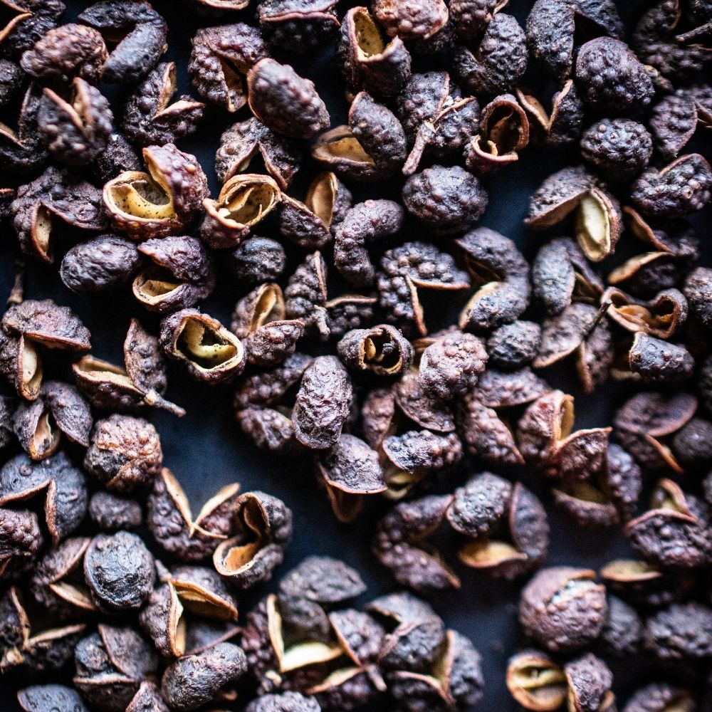 Detailaufnahme Timut Szechuan Pfeffer, Nepal