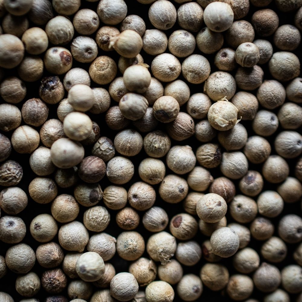 Detailaufnahme Weisser Muntok Pfeffer, Indonesien, geschrotet