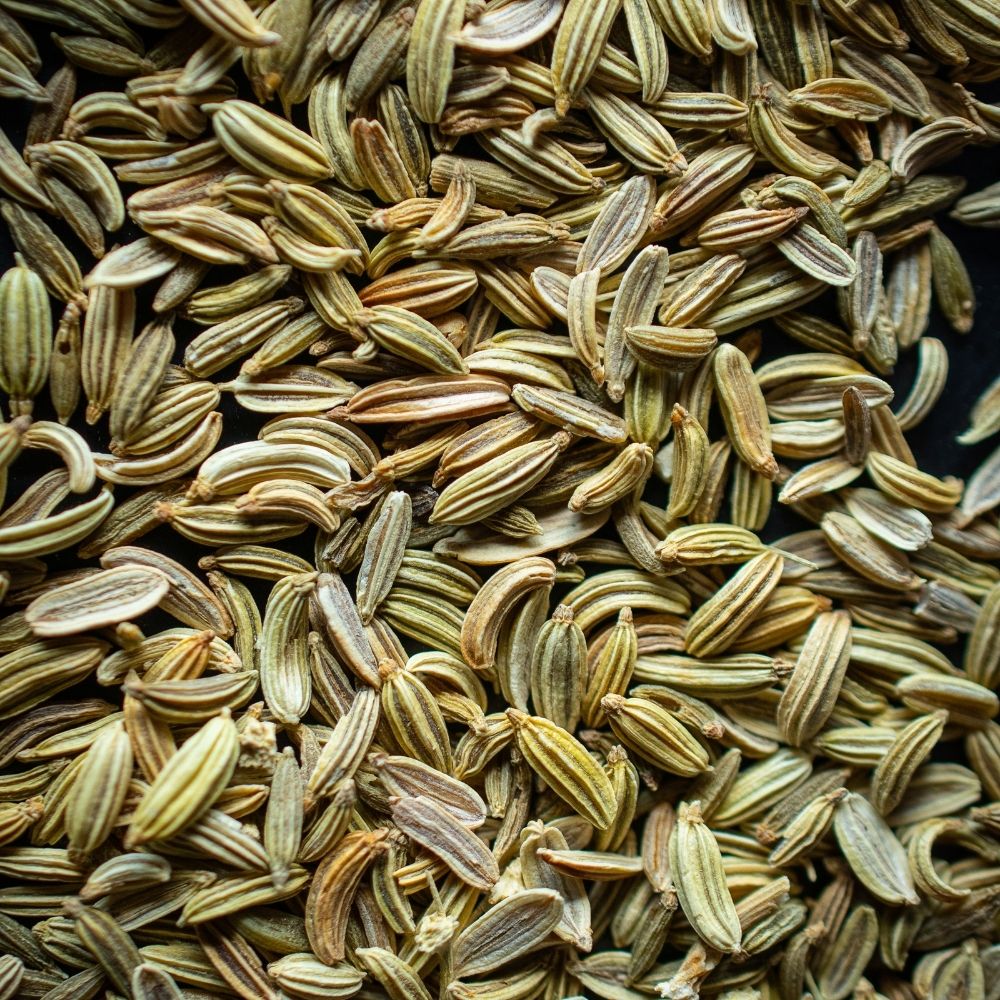 Detailaufnahme Fenchel grn, ganz