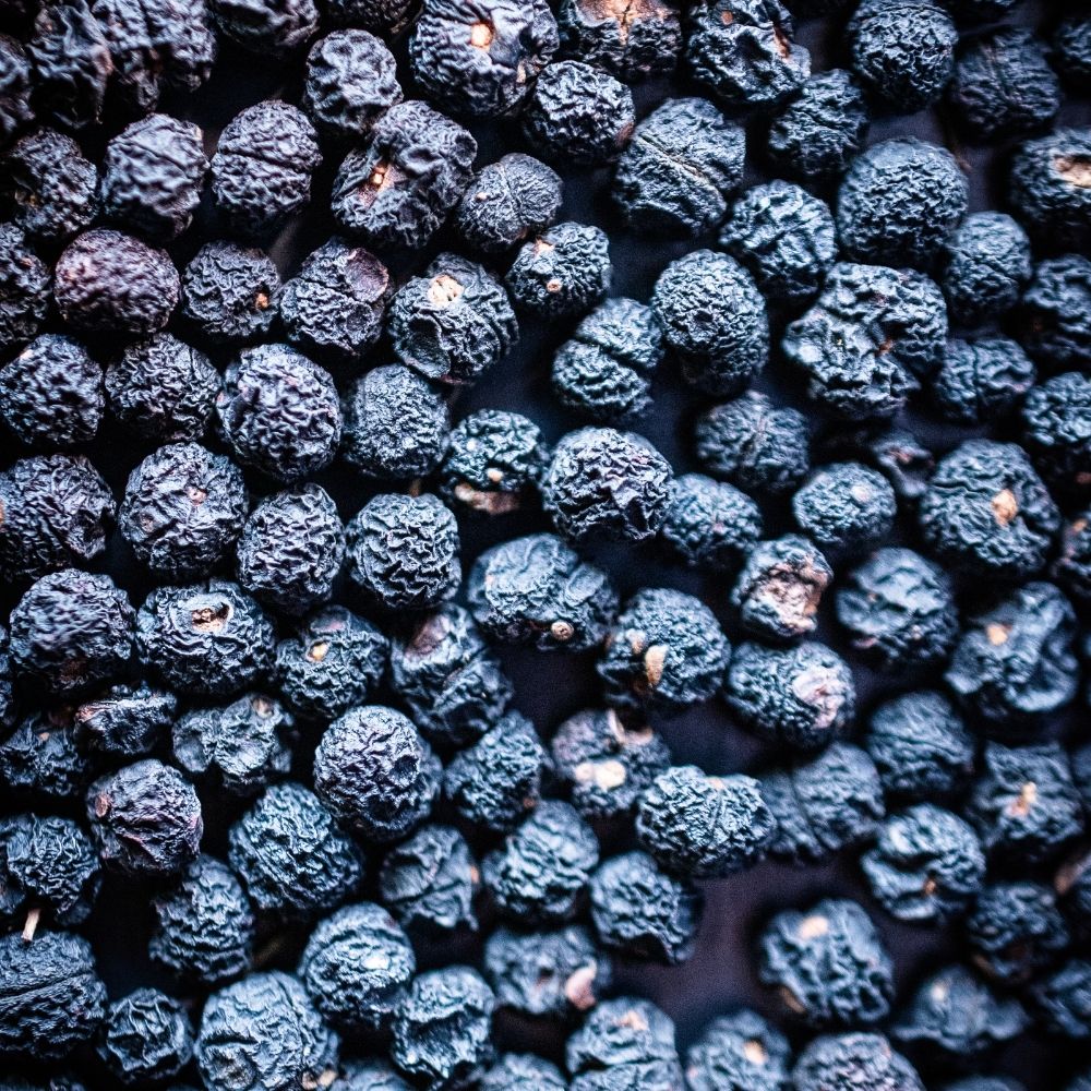 Detailaufnahme Violetter Tasmanischer Bergpfeffer, Australien