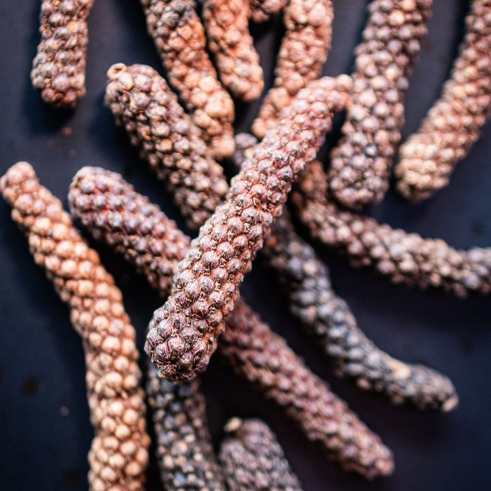 Detailaufnahme Roter Langpfeffer, Kambodscha