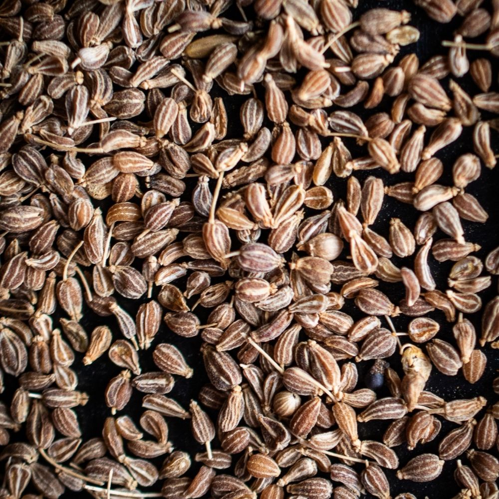 Detailaufnahme Anis ganz