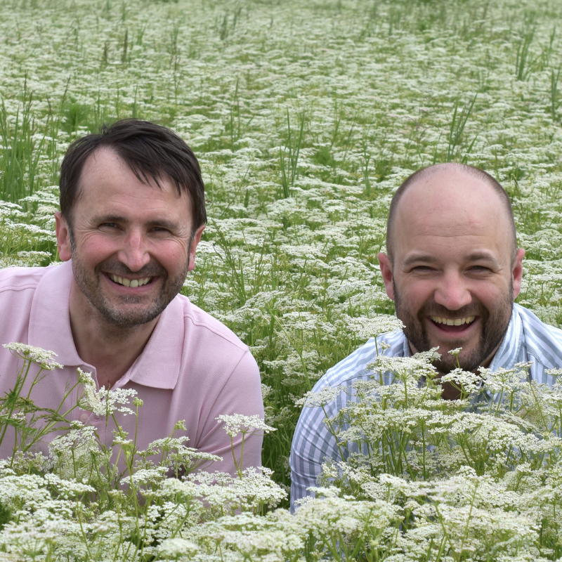 Kümmel (Bayern), ganz