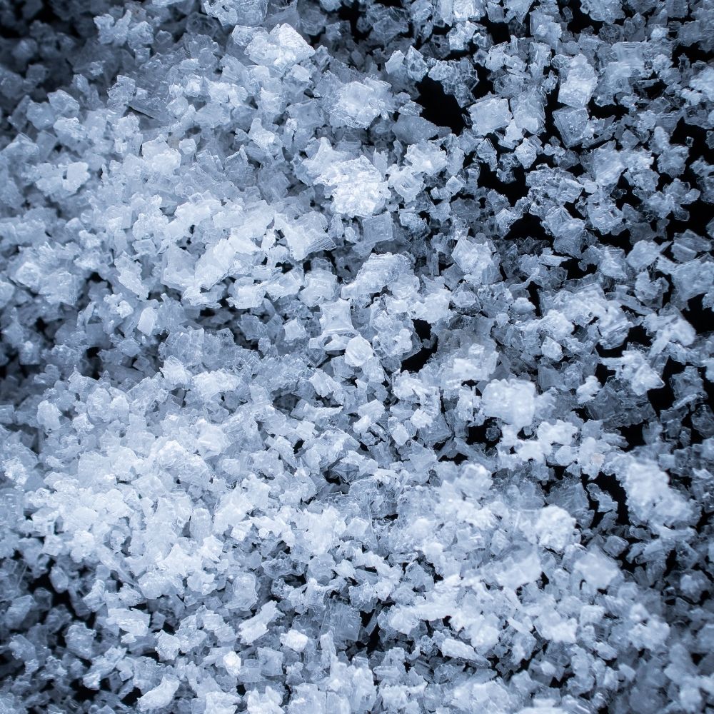 Detailaufnahme Flor del Sal Algarve Portugal