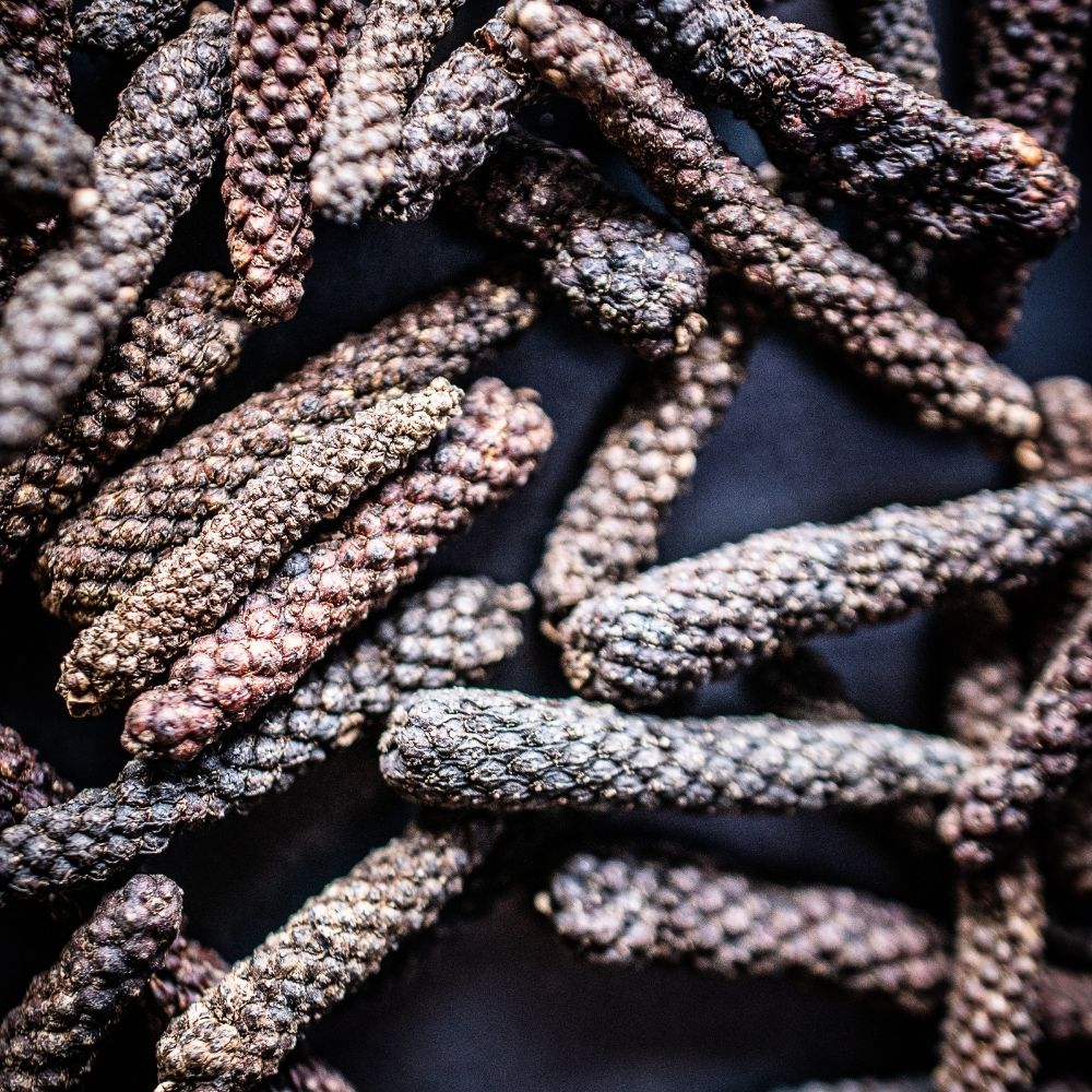 Detailaufnahme Langer Pfeffer, Indonesien