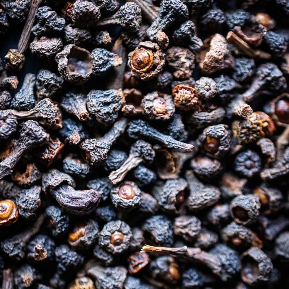 Detailaufnahme Zimtblte, ganz