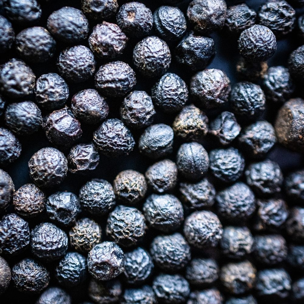 Detailaufnahme Verbena Grapefruitpfeffer, Vietnam