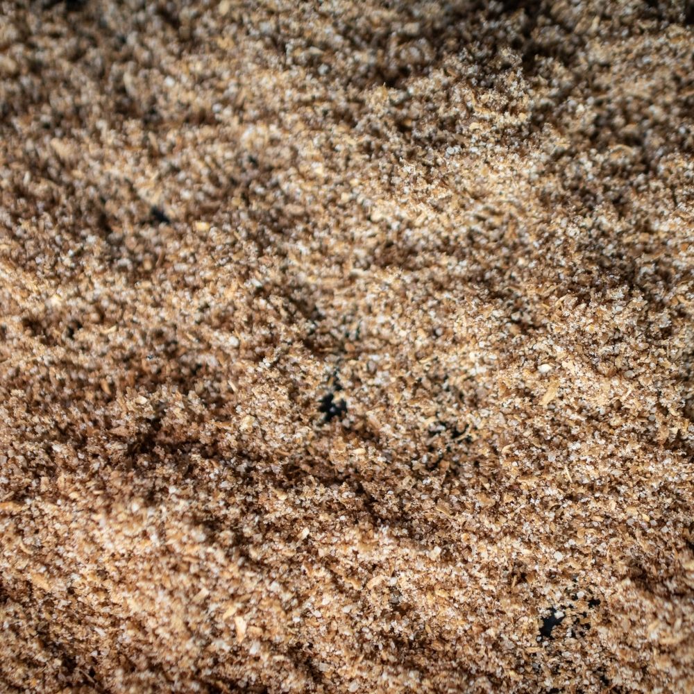 Detailaufnahme Koriander, gemahlen