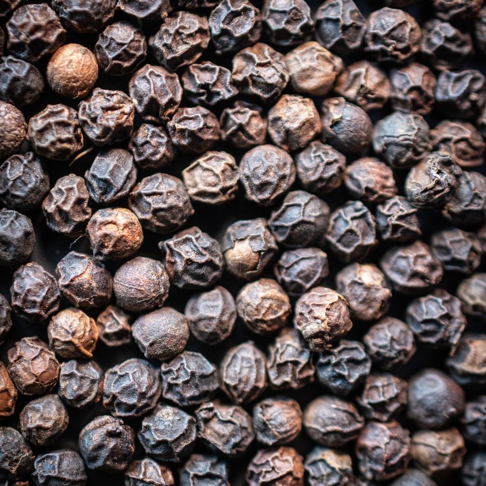 Detailaufnahme Malabar Tigerpfeffer, Indien, ganz